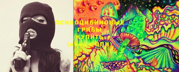 соль ск Снежинск