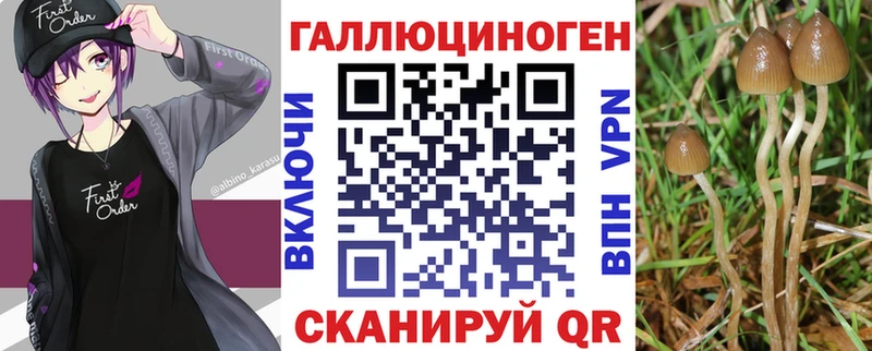 Псилоцибиновые грибы Psilocybe  нарко площадка официальный сайт  Жиздра 